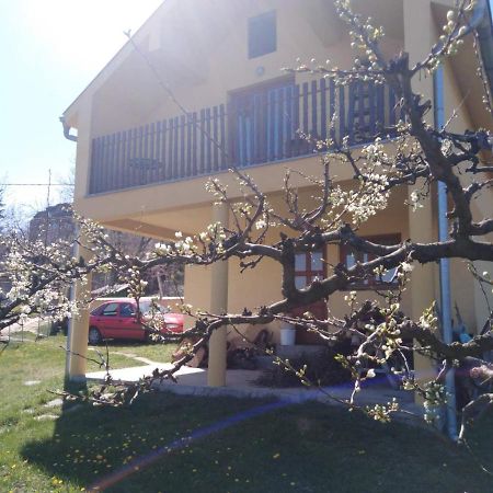 Villa Dedinje Jagodina Exterior foto
